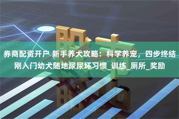 券商配资开户 新手养犬攻略：科学养宠，四步终结刚入门幼犬随地尿尿坏习惯_训练_厕所_奖励